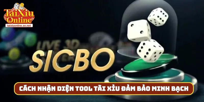 Cách nhận diện tool tài xỉu đảm bảo minh bạch