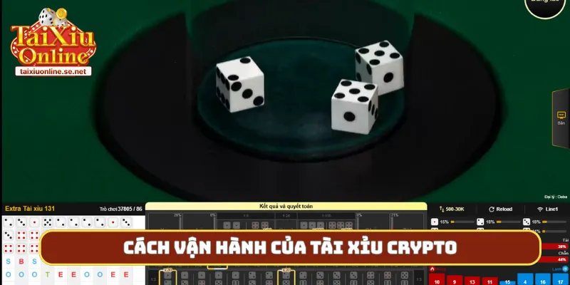 Cách vận hành của tài xỉu crypto