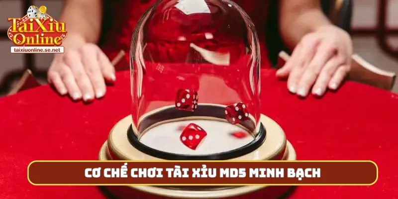 Cơ chế chơi tài xỉu MD5 minh bạch