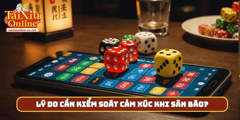 Lý do cần kiểm soát cảm xúc khi săn bão?