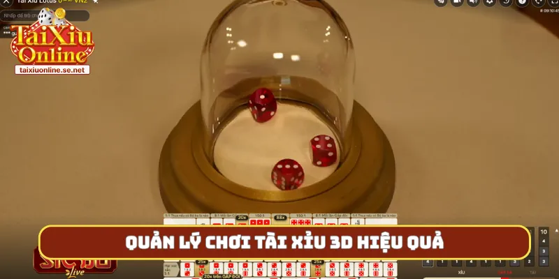 Quản lý chơi tài xỉu 3D hiệu quả
