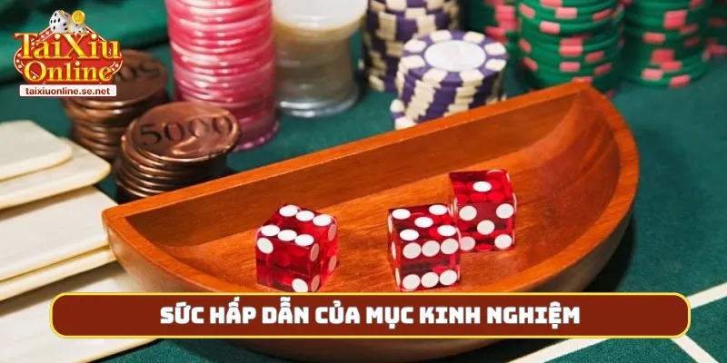 Sức hấp dẫn của mục kinh nghiệm